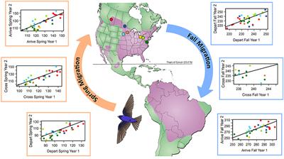 Individual Variability in Migration Timing Can Explain Long-Term, Population-Level Advances in a Songbird